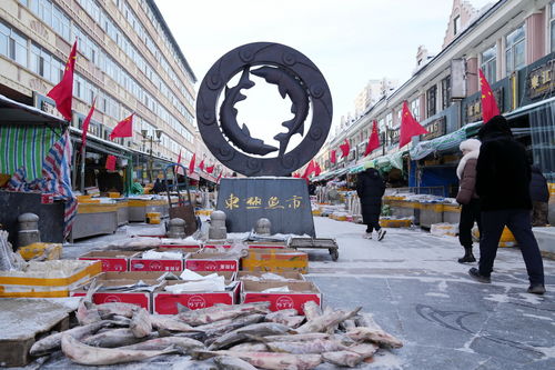 春節臨近 淡水魚都百年魚市銷售旺 城市生活垃圾經營服務保障升級